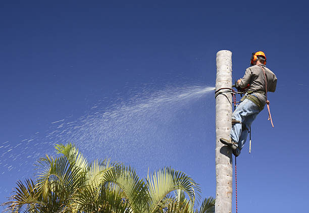 Lawn Irrigation Installation and Maintenance in Beach Haven, NJ